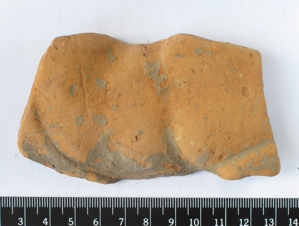 cavallo (?) (votivo zoomorfo) (secc. IV/ III a.C)