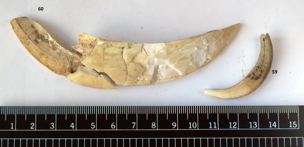 pendente (Neolitico)