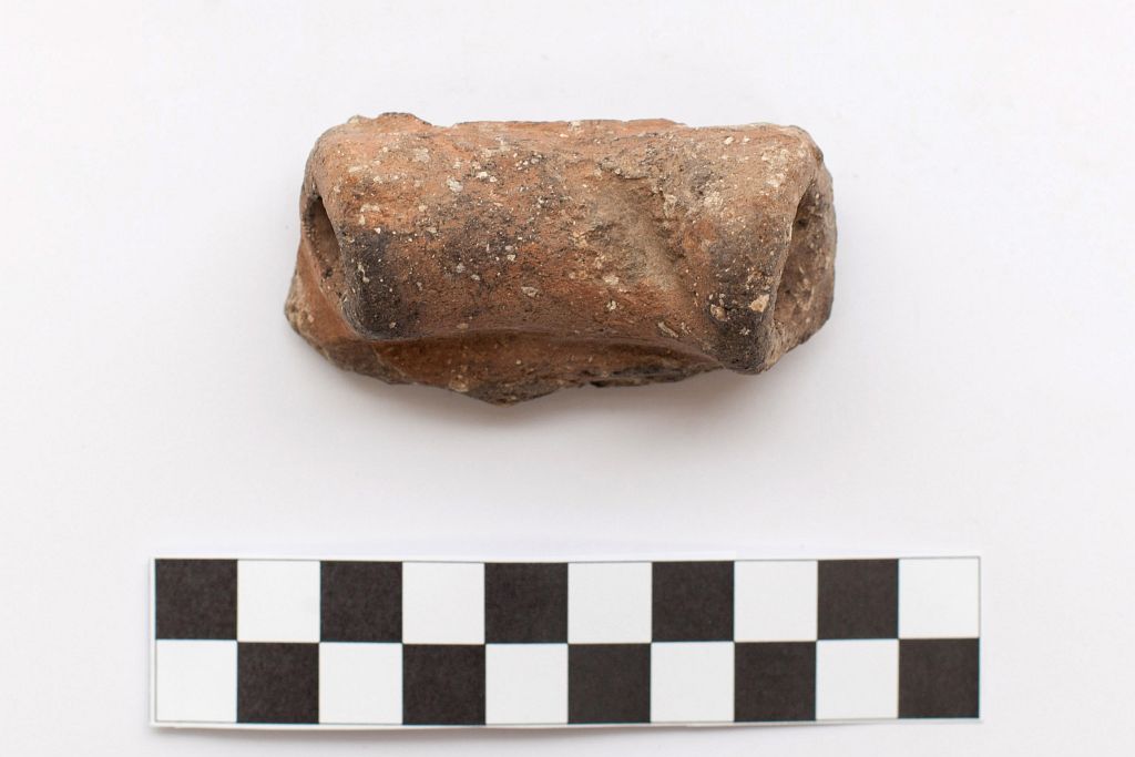 ansa / a rocchetto - Produzione di tipo Diana (Neolitico)