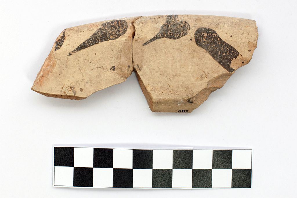 catino/ orlo - produzione locale (secc. XIV/ XVI)