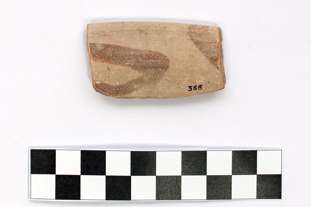 catino/ orlo - produzione locale (secc. XIV/ XVI)