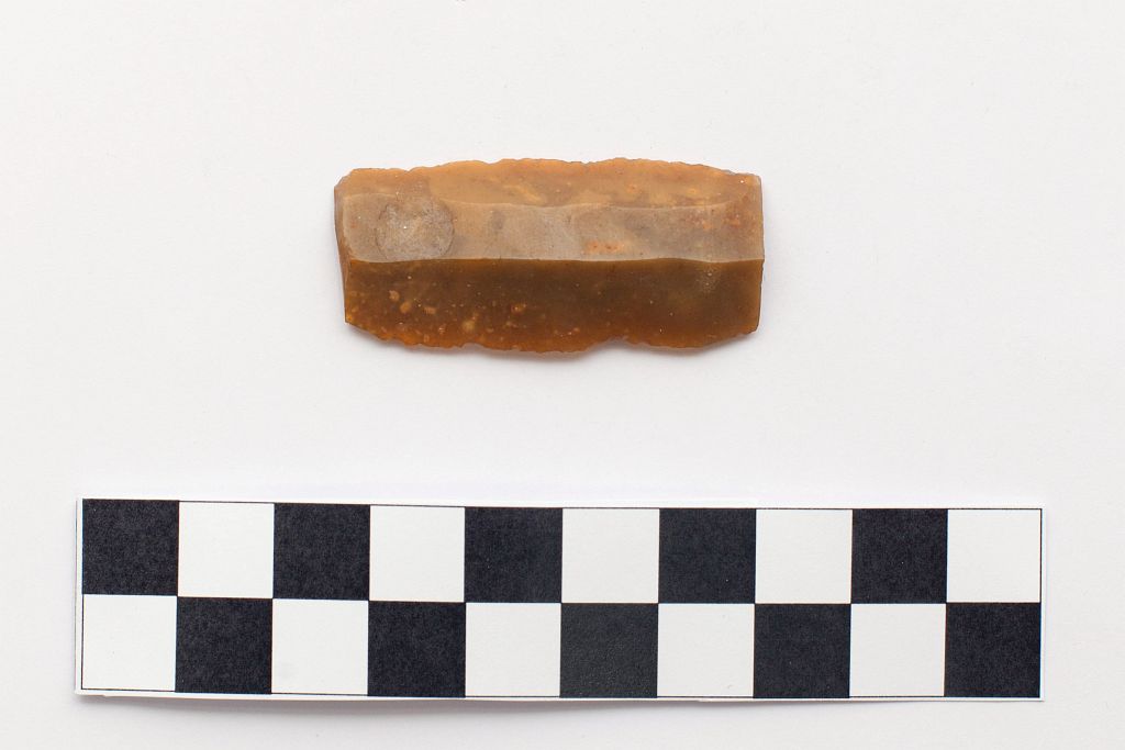 lama a dorso (Neo-Eneolitico)