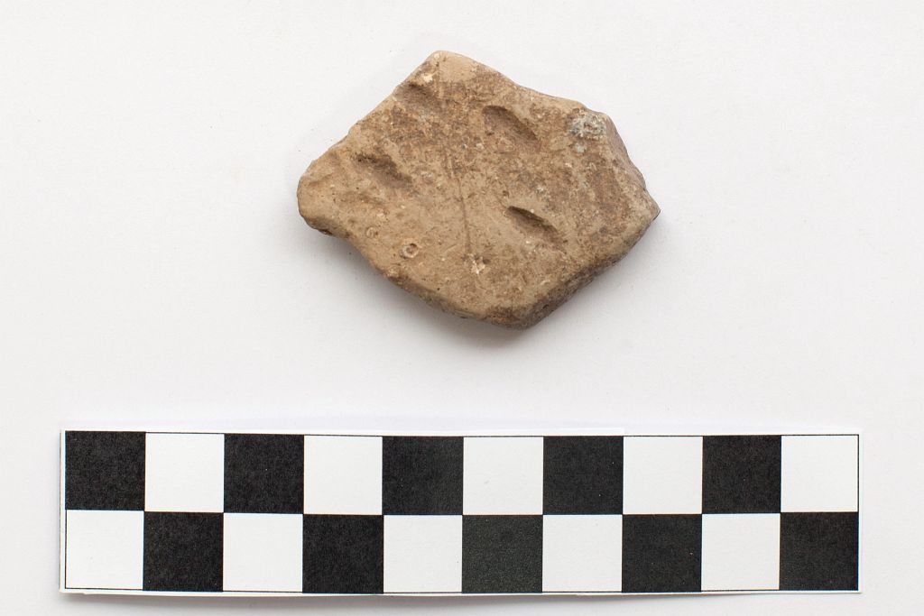 vaso/ parete (Neolitico)