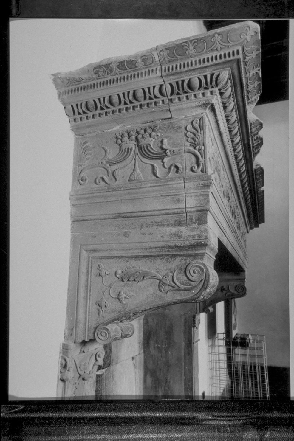 motivi decorativi vegetali, emblemi di Federico da Montefeltro (rilievo, elemento d'insieme) - bottega Italia centrale (seconda metà sec. XV)
