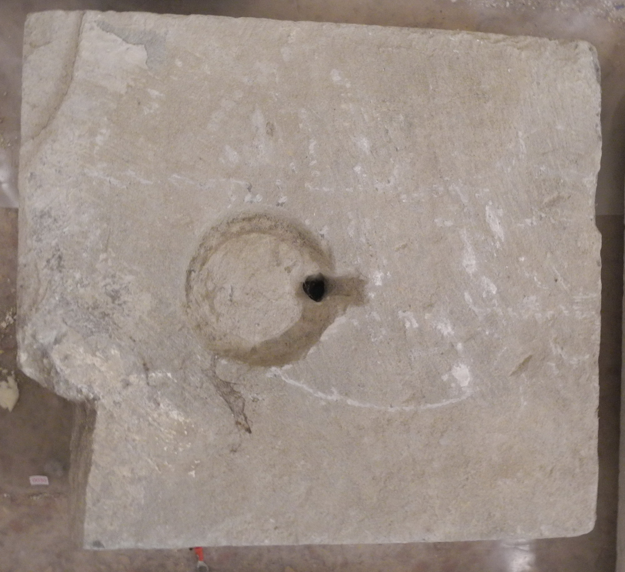 chiusino, opera isolata - ambito Italia centrale (ultimo quarto sec. XV)