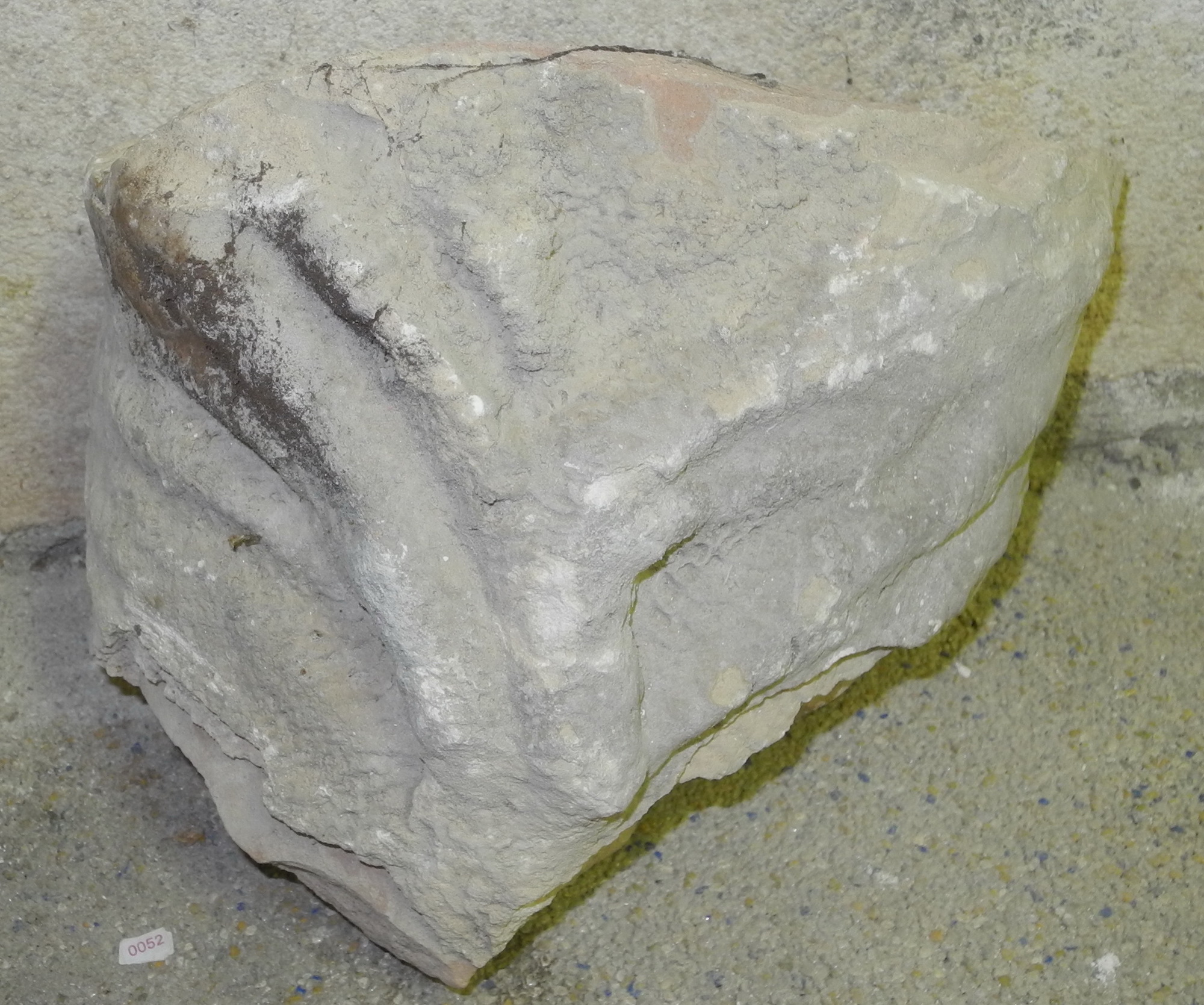 coppo, frammento - ambito Italia centrale (seconda metà sec. XV)