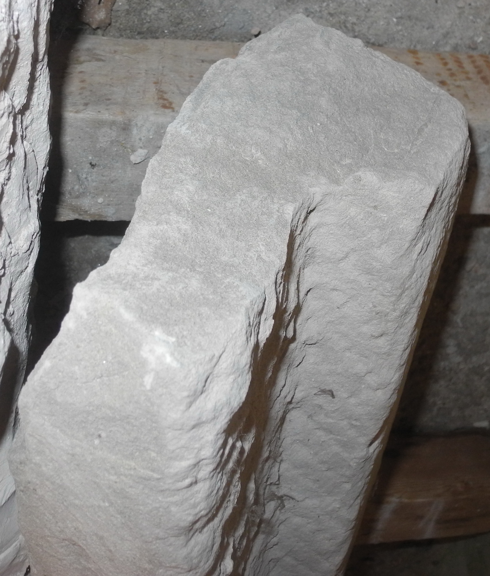 decorazione plastico-architettonica, frammento - ambito Italia centrale (seconda metà sec. XV)