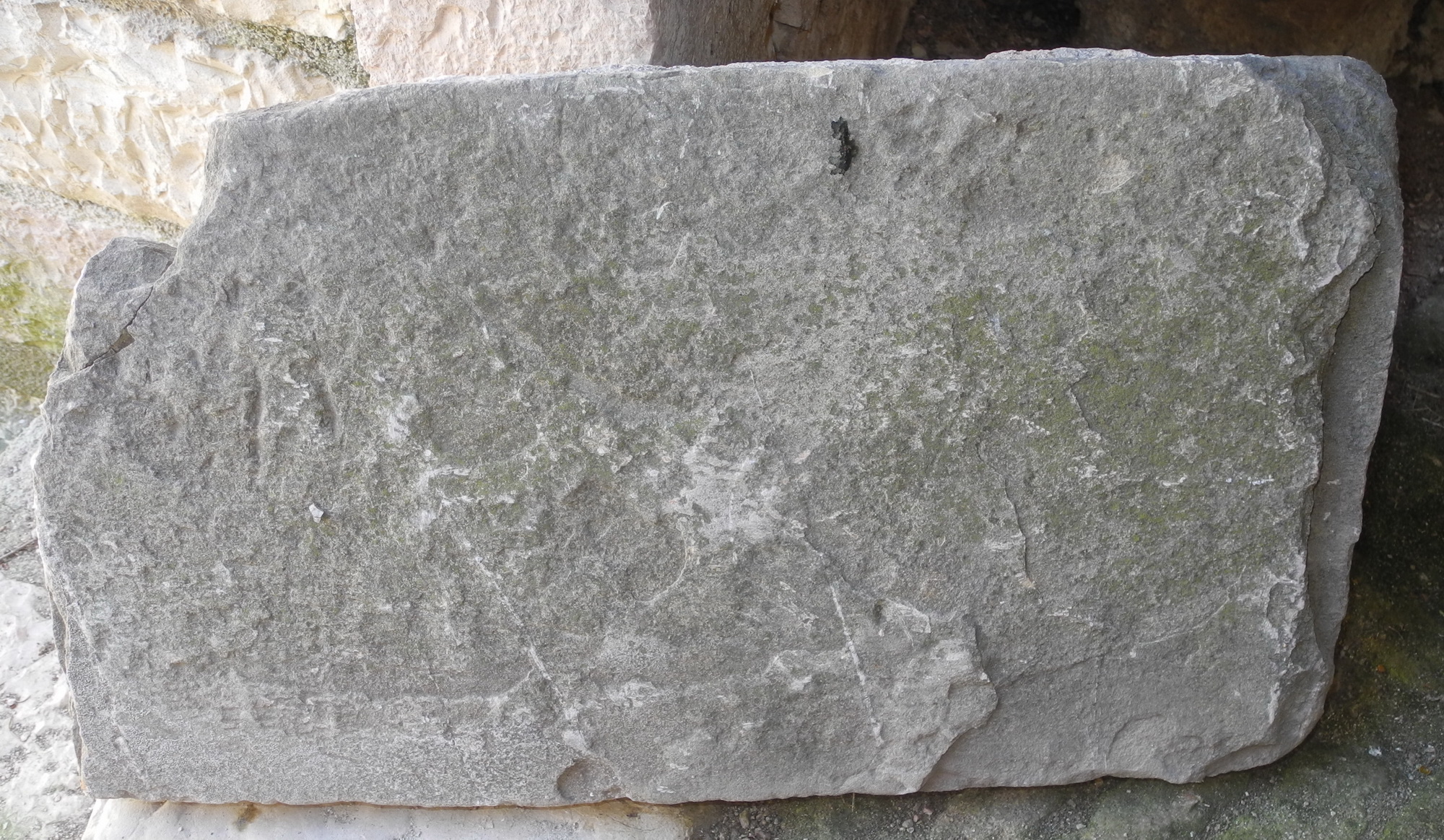 stipite, frammento - ambito Italia centrale (seconda metà sec. XV)