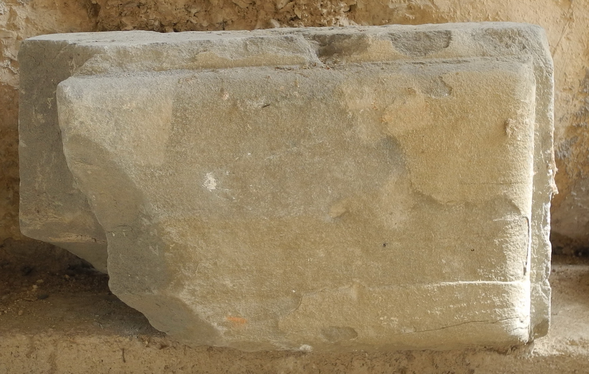 decorazione plastico-architettonica, frammento - ambito Italia centrale (seconda metà sec. XV)