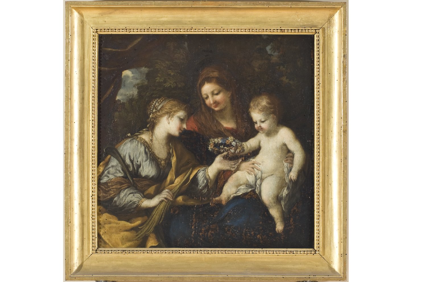 Madonna con Bambino e Santa Martina (dipinto, opera isolata) di Berrettini Pietro detto Pietro da Cortona (metà sec. XVII)