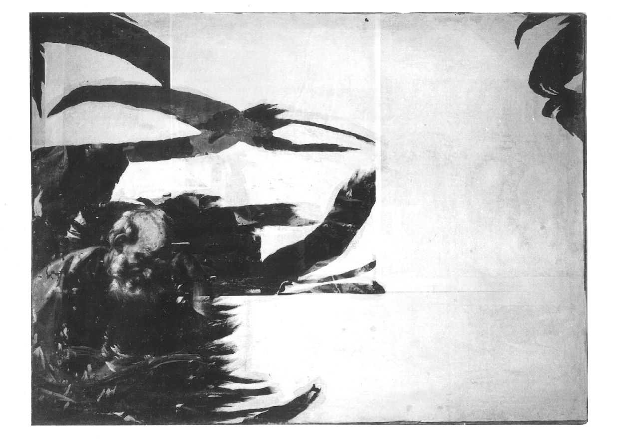 figura maschile di anziano (dipinto, opera isolata) - ambito napoletano (metà sec. XVII)