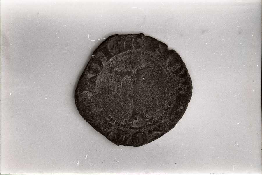 moneta - ambito lucchese (sec. XIV)