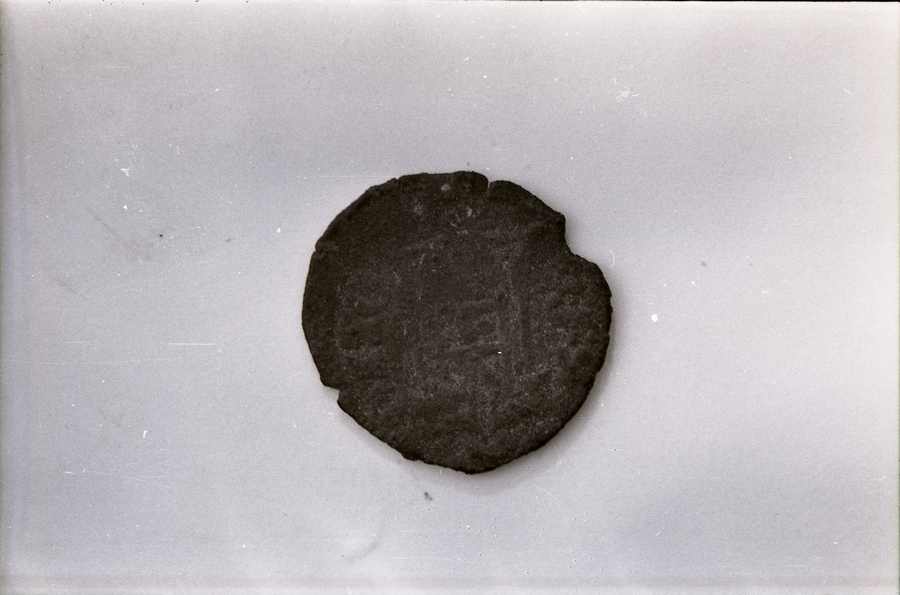 moneta - ambito pisano (sec. XIV)