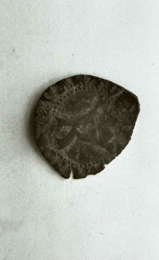 moneta - ambito lucchese (sec. XIV)