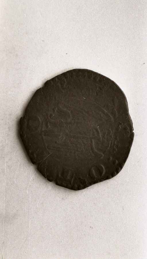 moneta - ambito pisano (sec. XIV)