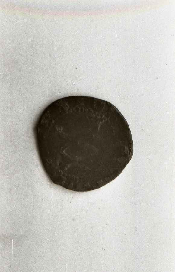 moneta - ambito lucchese (sec. XIV)