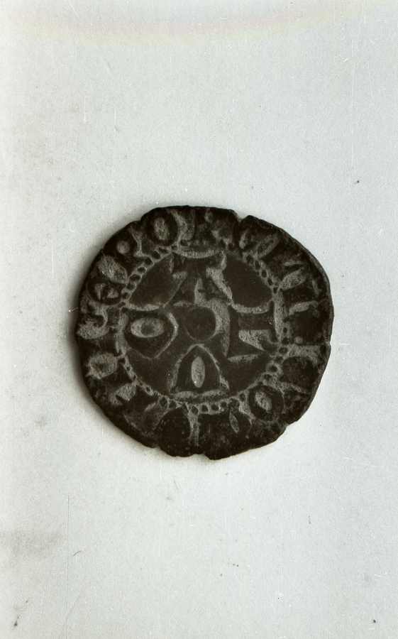 moneta - ambito lucchese (sec. XIV)