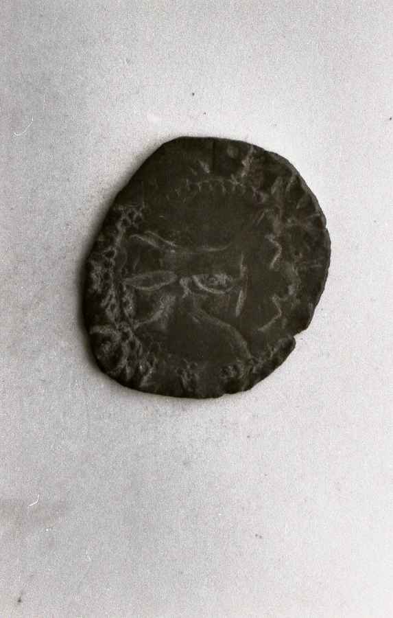 moneta - ambito lucchese (sec. XIV)