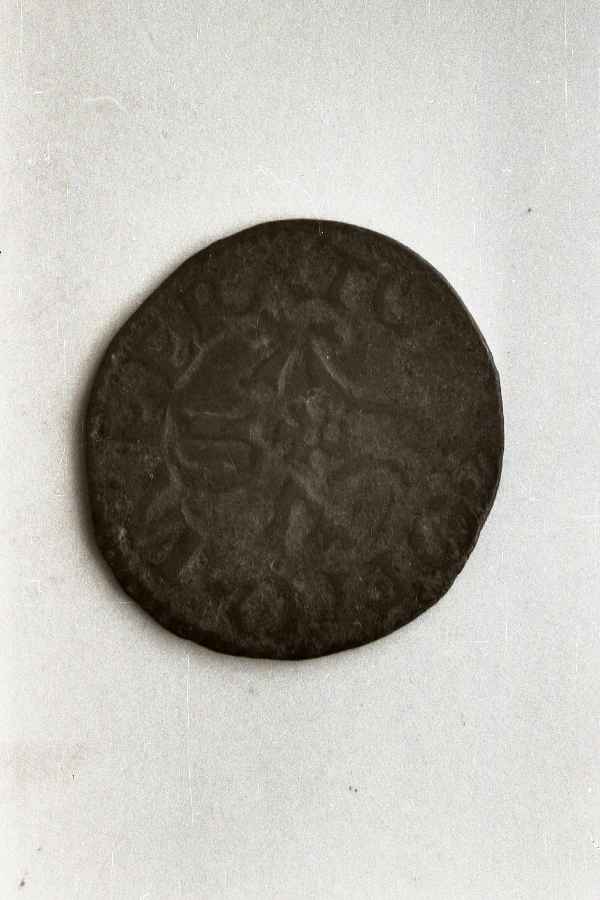 moneta - ambito lucchese (sec. XIV)