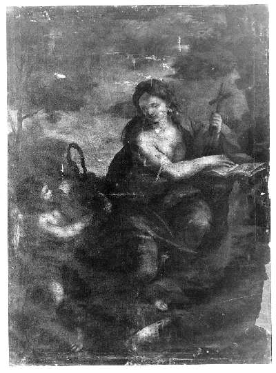 Santa Maria Maddalena penitente (dipinto, opera isolata) di Marracci Giovanni (ultimo quarto sec. XVII)