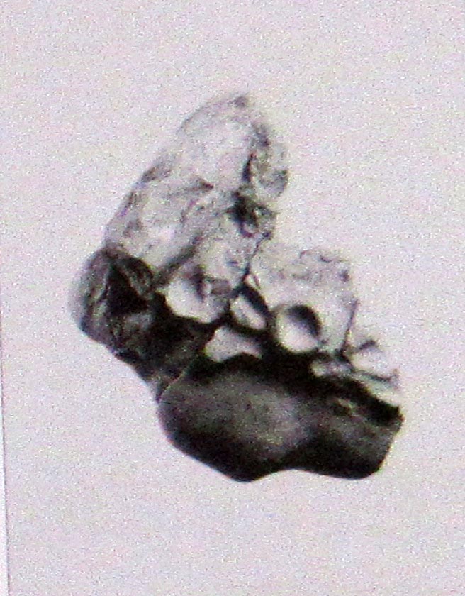 guerriero che sostiene un compagno (gruppo statuario/ frontonale, frammento) (metà II a.C)