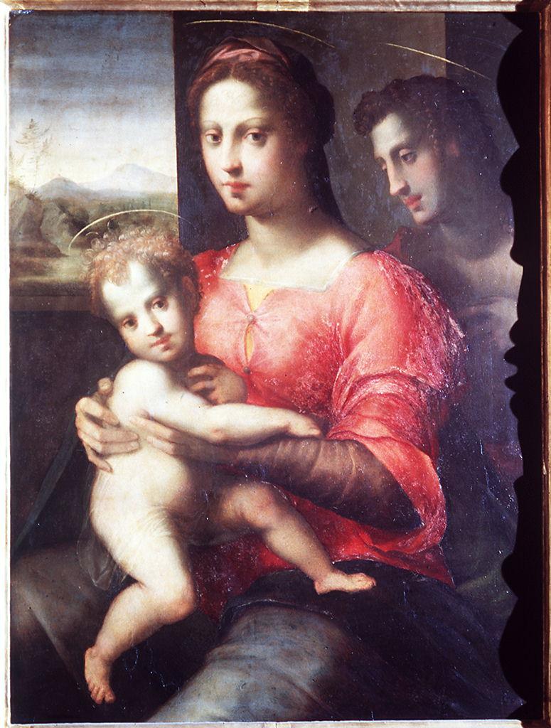 Madonna con Bambino e San Giovanni Battista (dipinto) di Ubaldini Domenico detto Domenico Puligo (primo quarto sec. XVI)