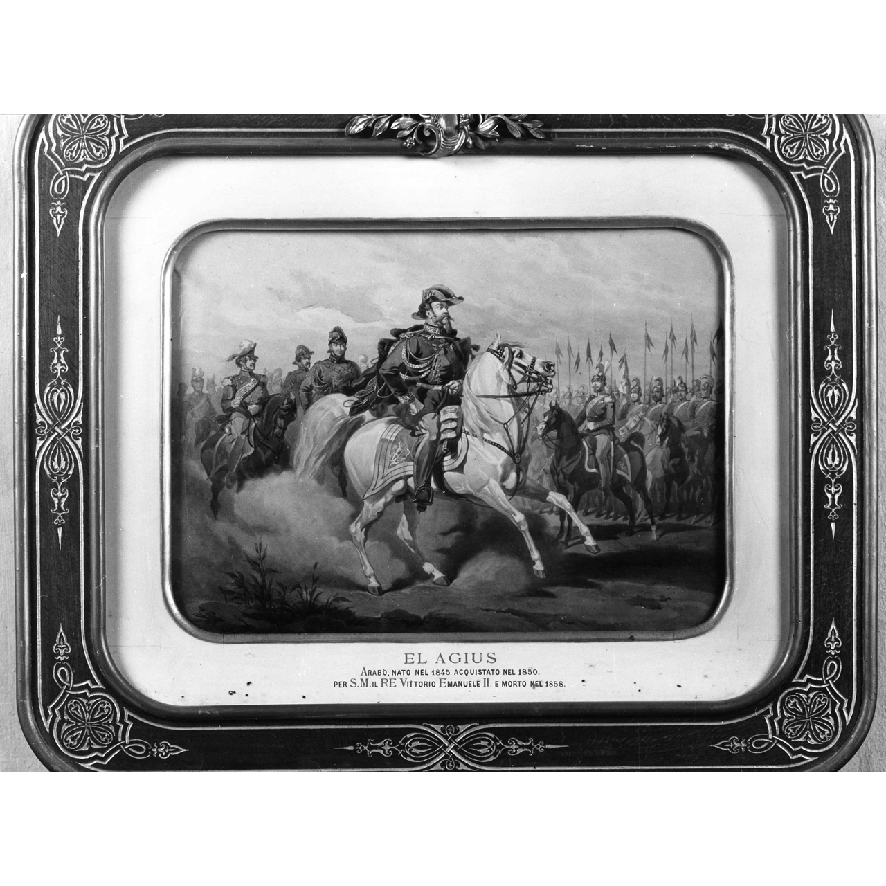 Vittorio Emanuele II e il cavallo El Algius (dipinto) di Grimaldi Stanislao (metà sec. XIX)