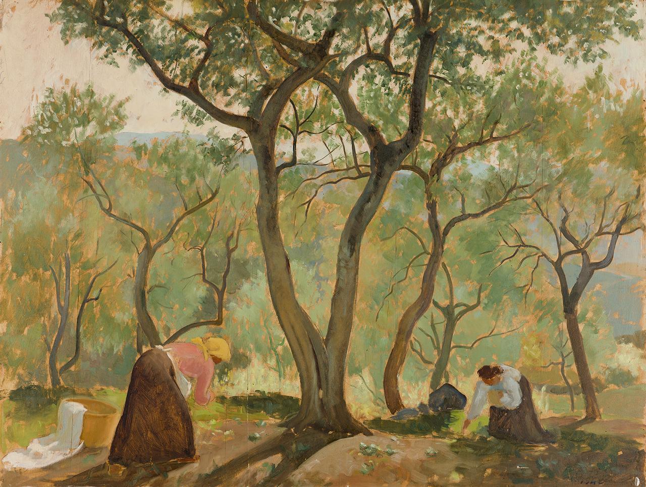 Raccoglitrici di olive, figure femminili (dipinto) di Mele Pietro - ambito italiano (sec. XX)