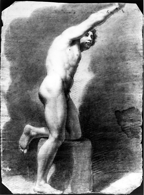 nudo virile (disegno) di Alberi Francesco (primo quarto sec. XIX)
