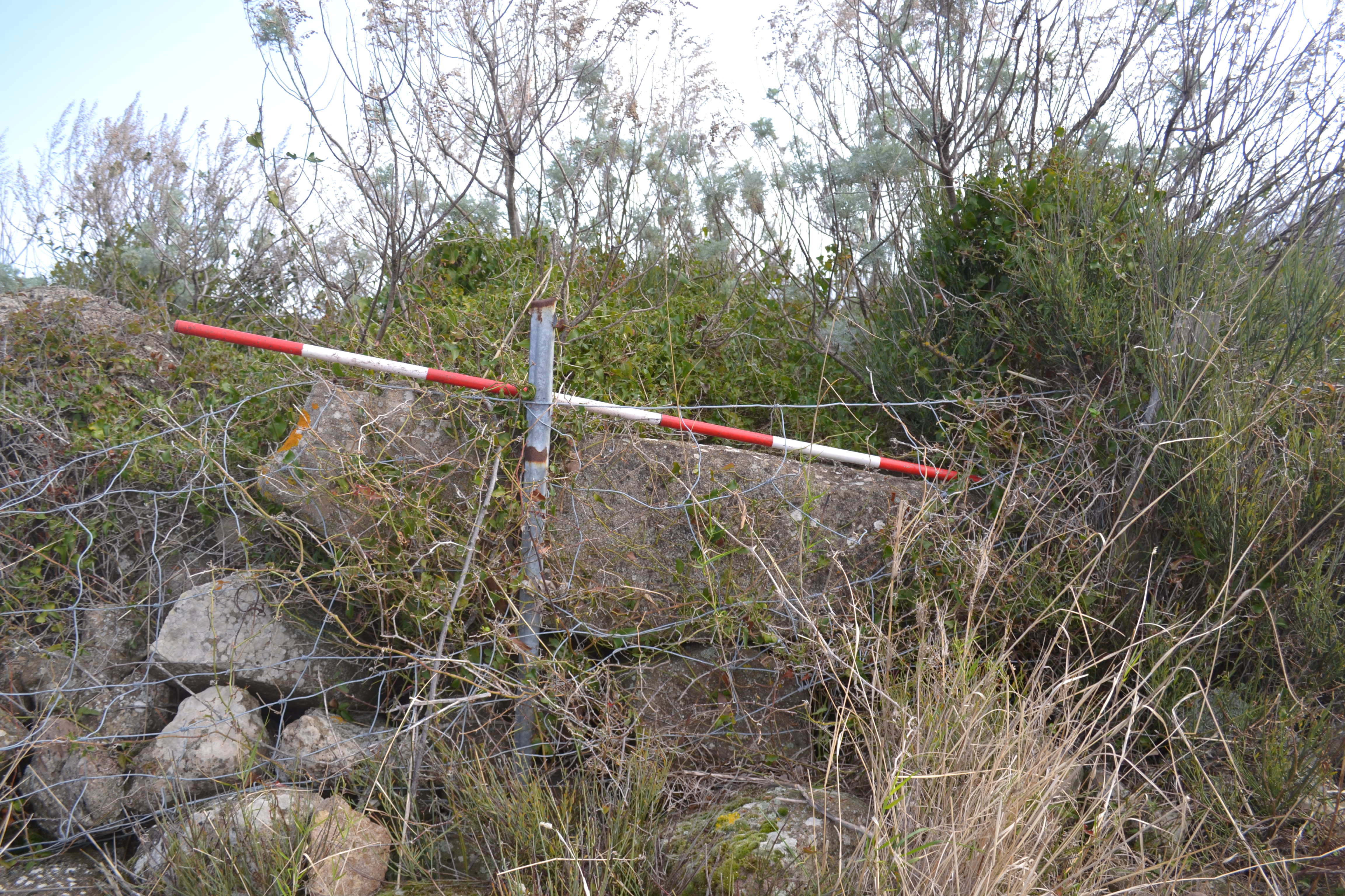 Menhir, area ad uso funerario