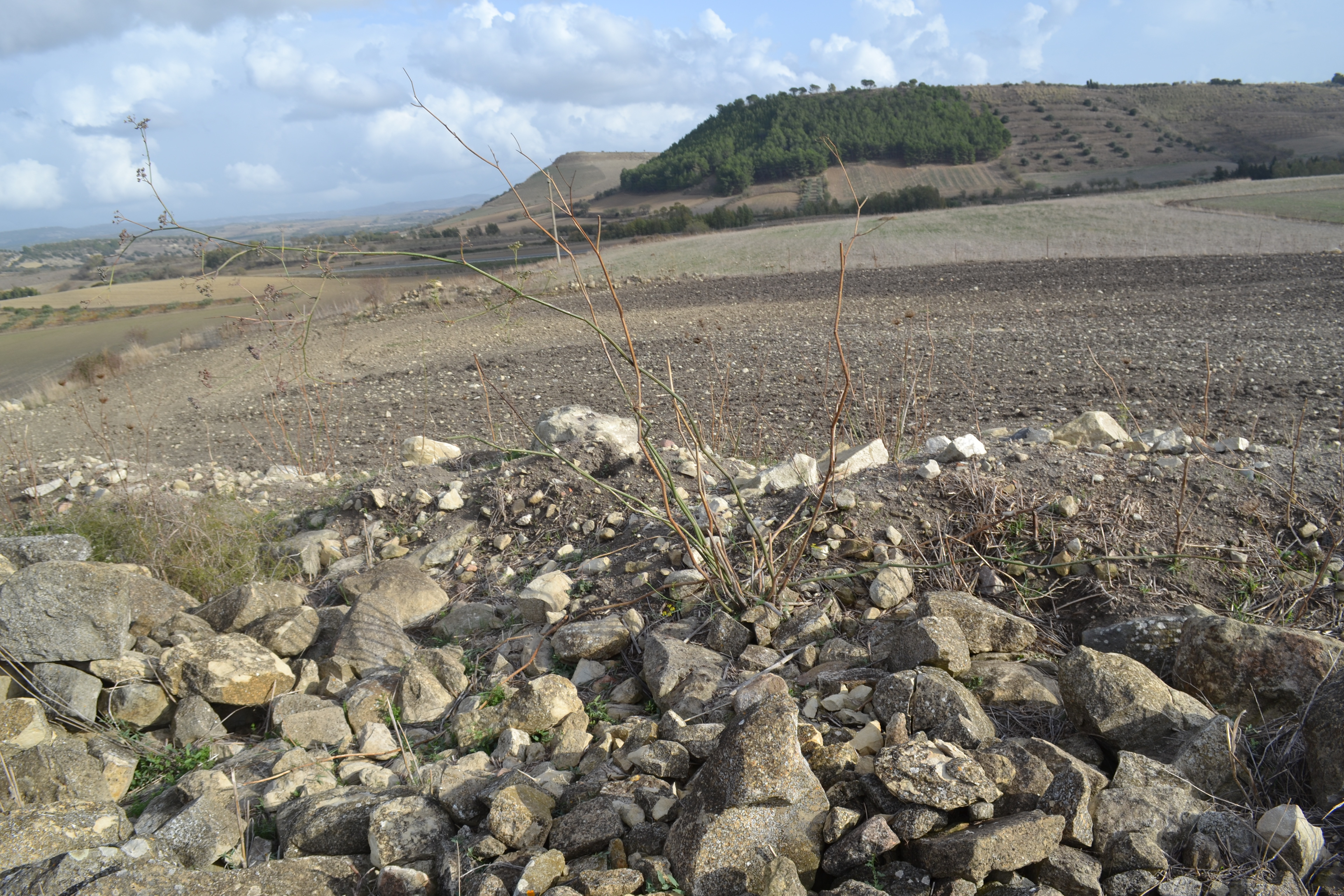 Nuraghe e abitato di pranu amis (nuraghe, insediamento)