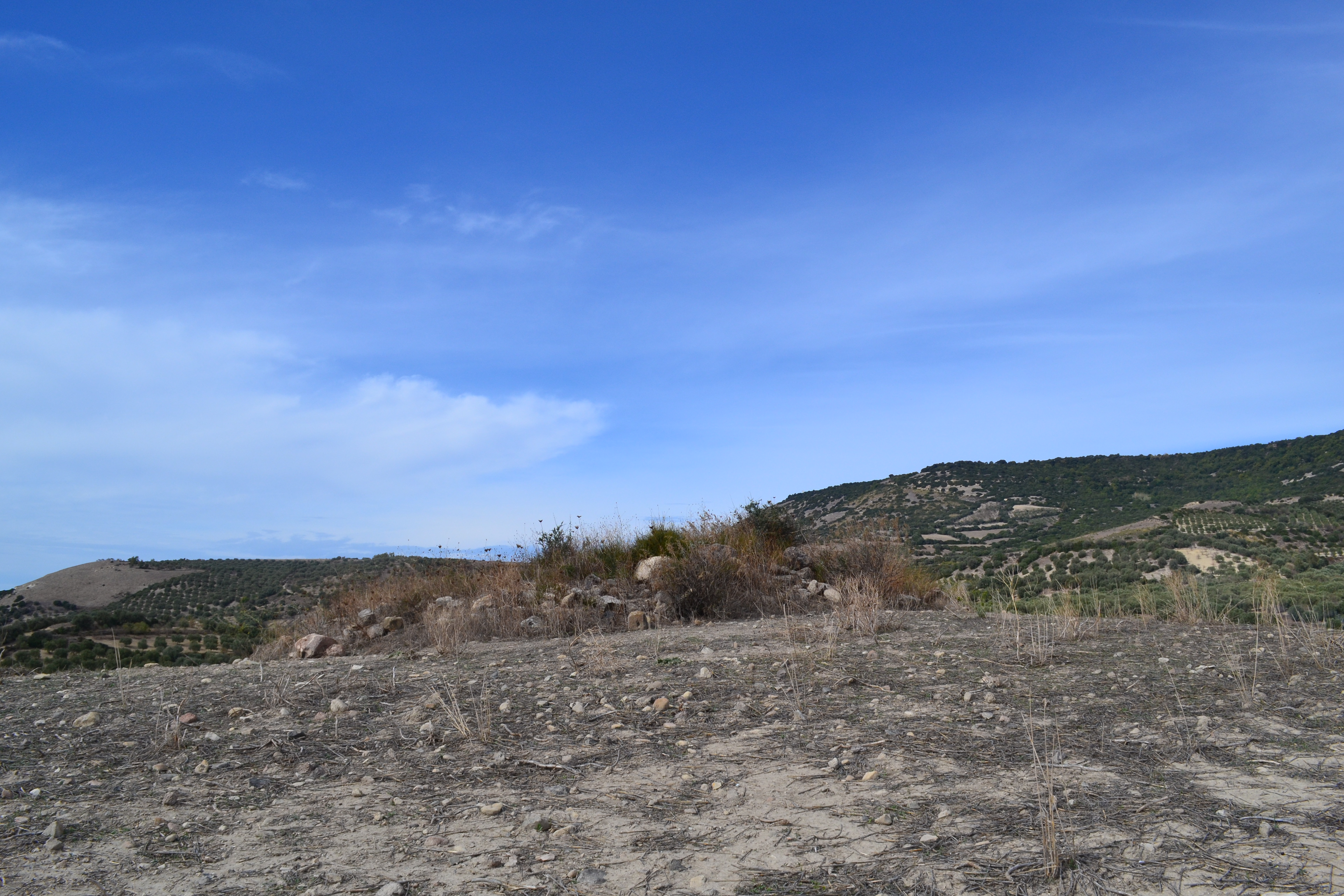 Abitato di santa tecla (area di materiale mobile, area di frammenti fittili e materiali da costruzione)