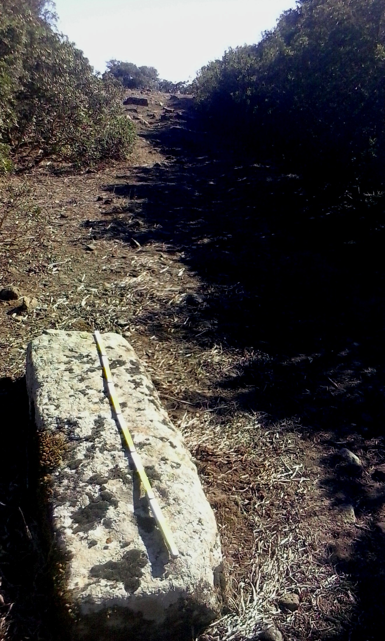 Nuridda (menhir, monumento)