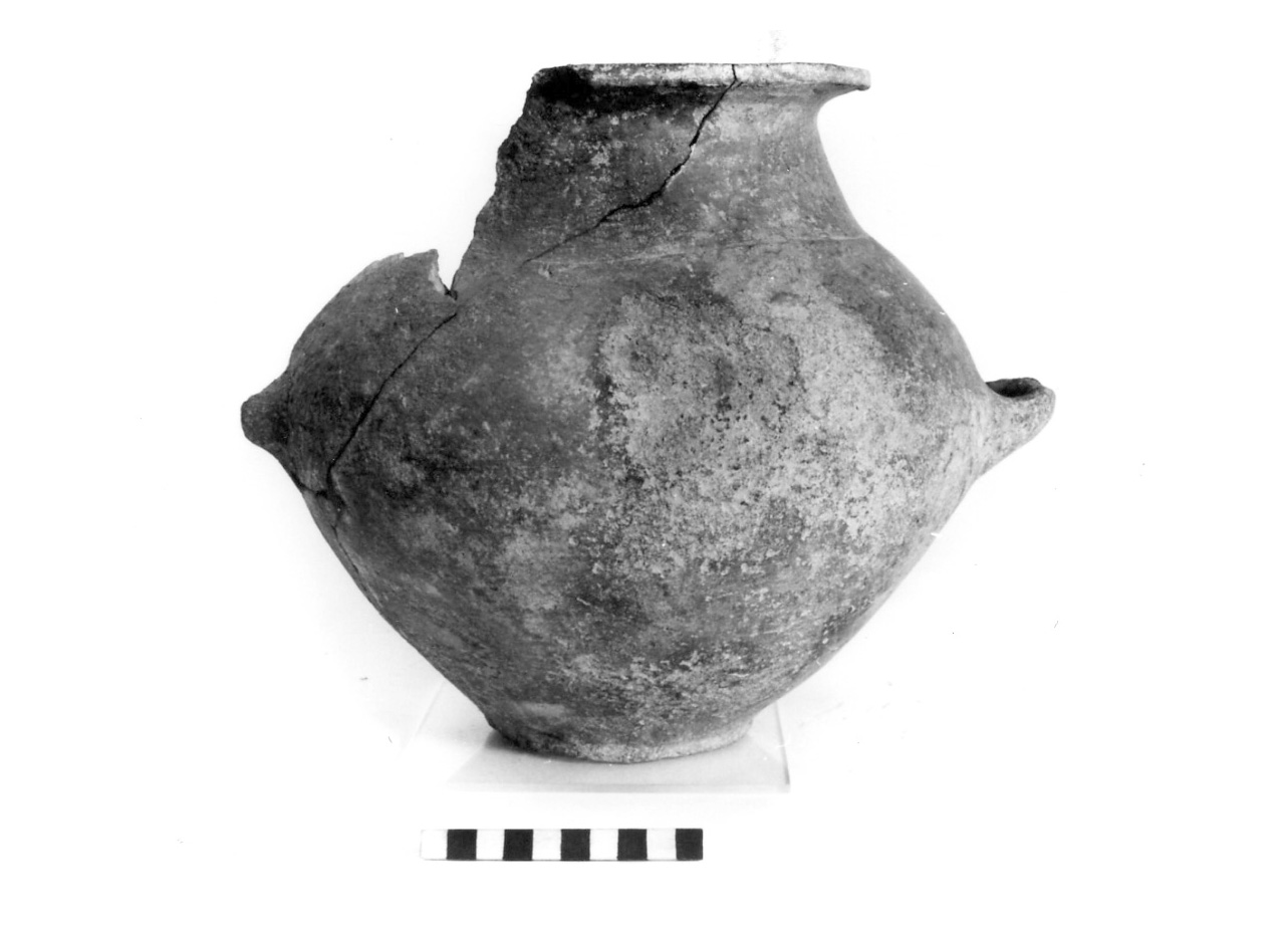 olla a collo distinto - civiltà protovillanoviana/ età del bronzo finale (sec. X a.C)