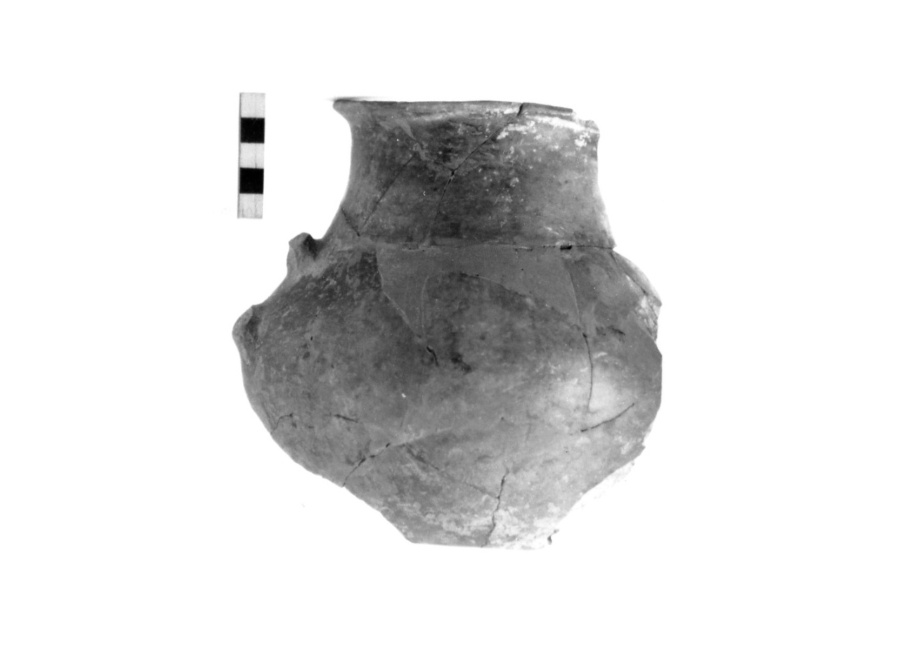 olla a collo distinto - civiltà protovillanoviana/ età del bronzo finale (sec. X a.C)