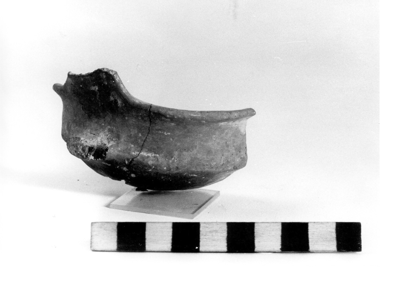 tazza carenata - civiltà protovillanoviana/ età del bronzo (sec. X a.C)