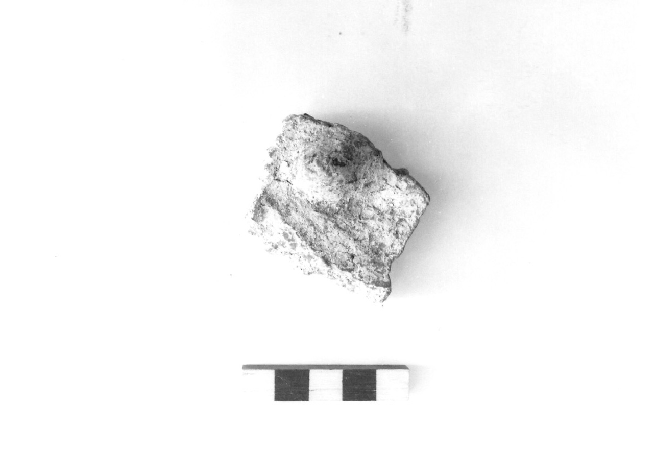 fondo piatto - civiltà protovillanoviana/ età del bronzo finale (sec. X a.C)