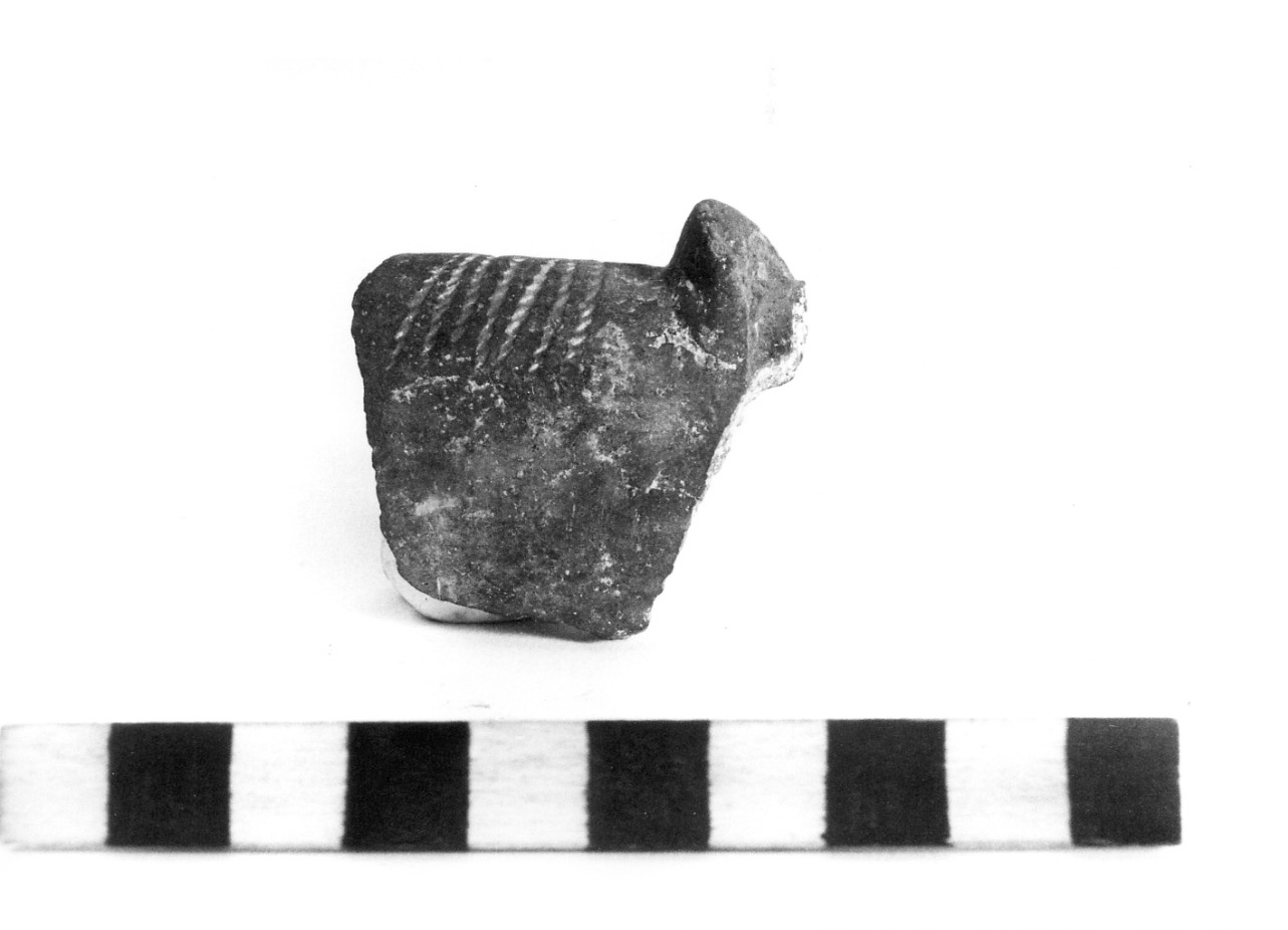 scodella ad orlo rientrante - civiltà protovillanoviana/ età del bronzo finale (sec. X a.C)