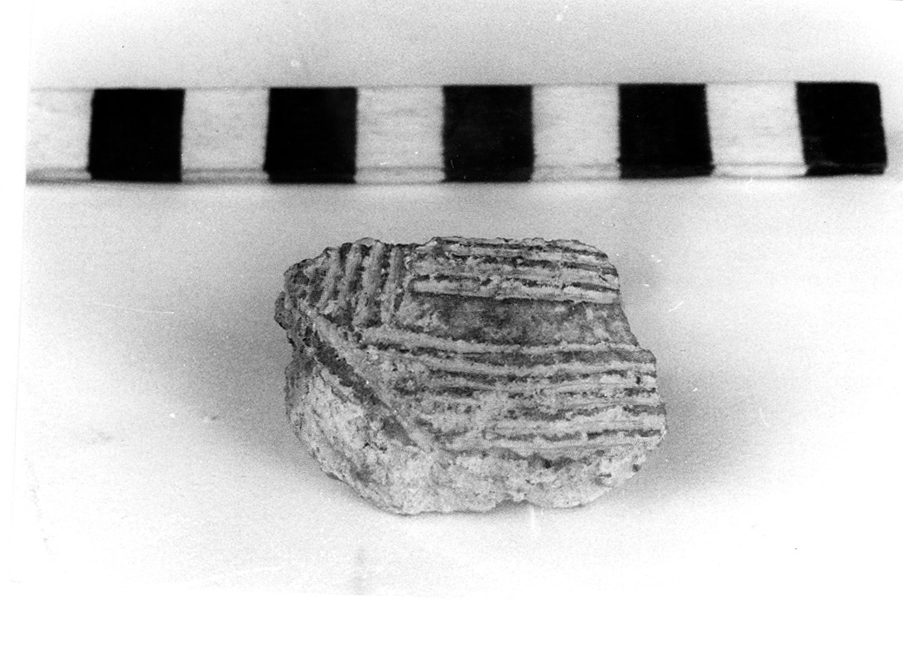 parete convessa - civiltà protovillanoviana/ età del bronzo finale (sec. X a.C)