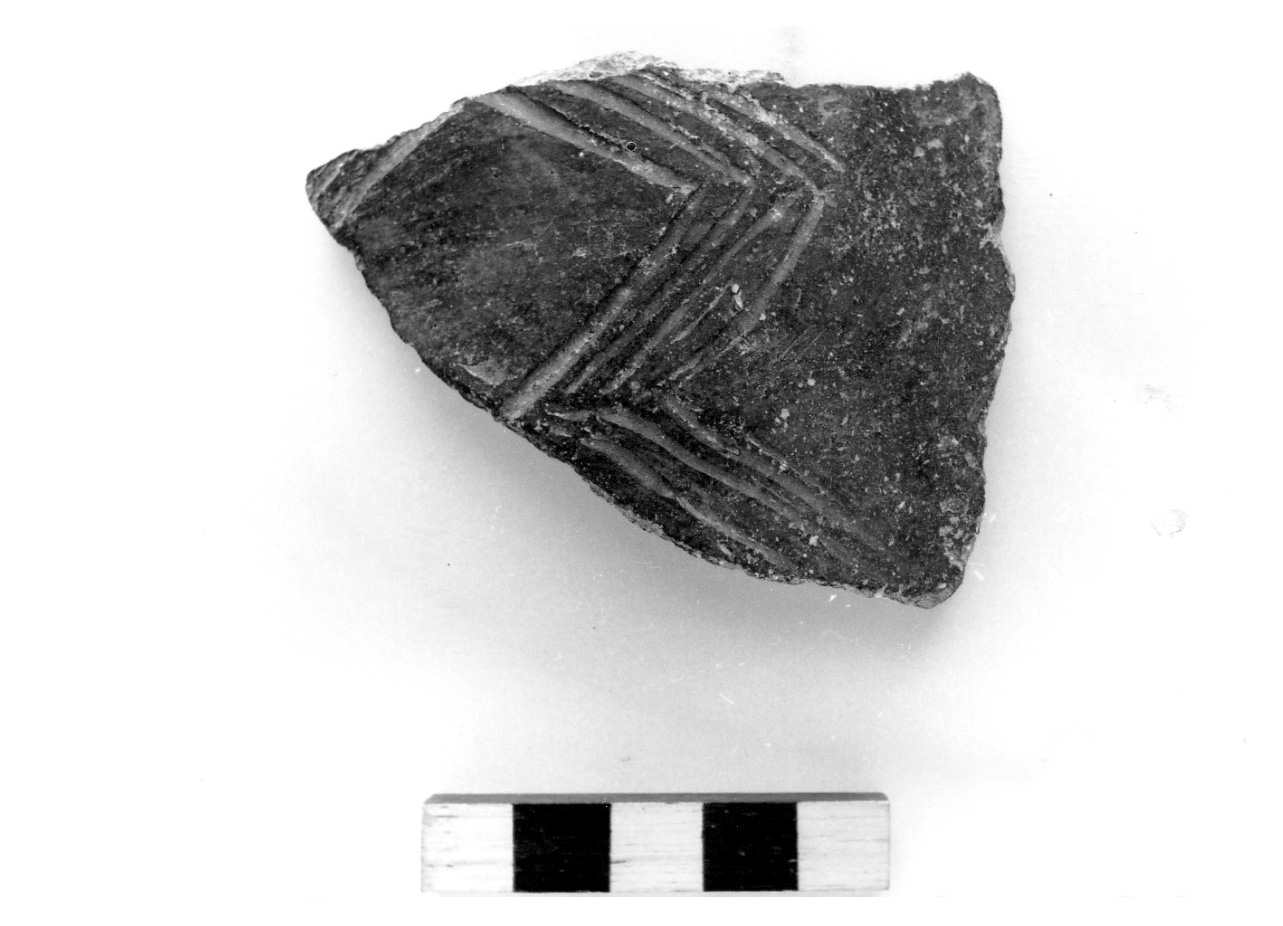 parete convessa - civiltà protovillanoviana/ età del bronzo finale (sec. X a.C)