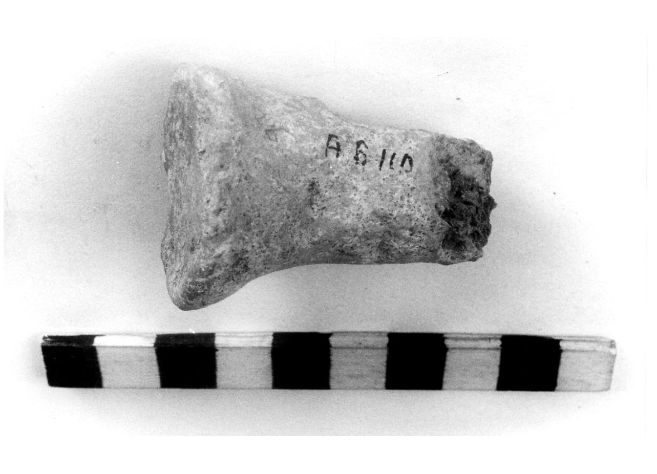 rocchetto cilindrico - civiltà protovillanoviana/ età del bronzo finale (sec. X a.C)