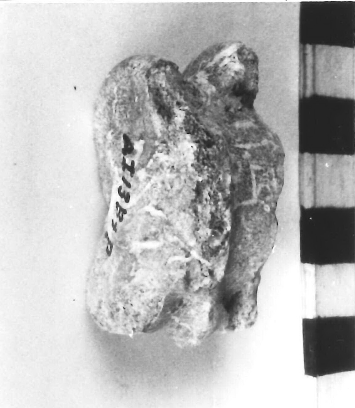 astragalo - civiltà protovillanoviana/ età del bronzo finale (sec. X a.C)