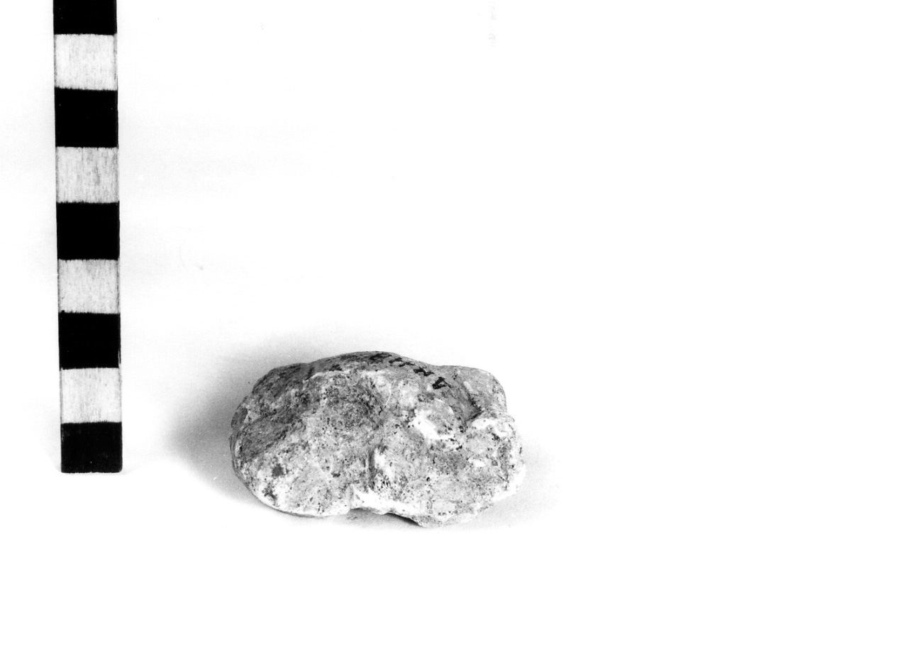 astragalo - civiltà protovillanoviana/ età del bronzo finale (sec. X a.C)