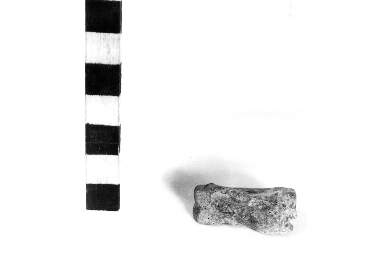 falange - civiltà protovillanoviana/ età del bronzo finale (sec. X a.C)