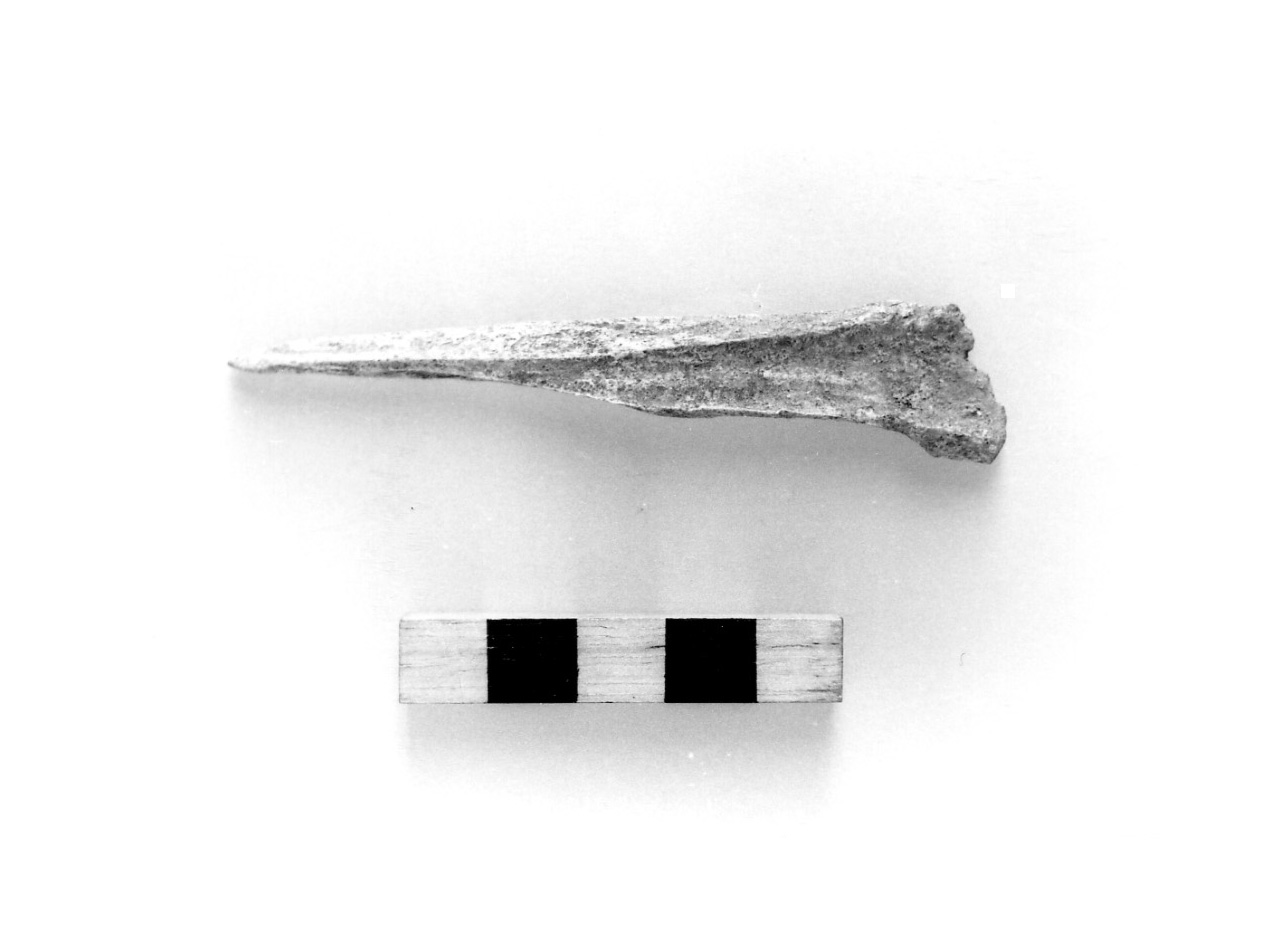 punta - civiltà protovillanoviana/ età del bronzo finale (sec. X a.C)