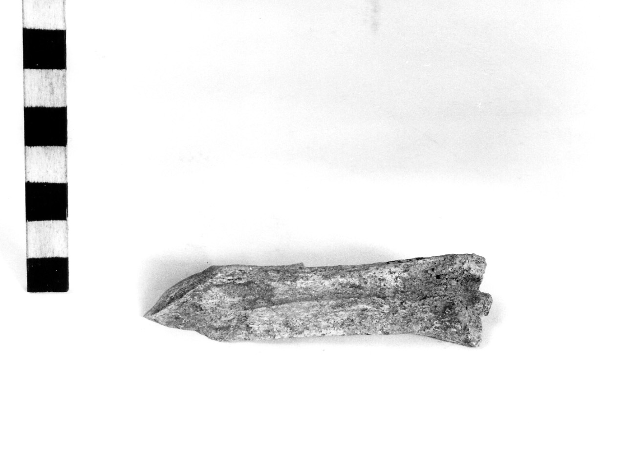 punta - civiltà protovillanoviana/ età del bronzo finale (sec. X a.C)