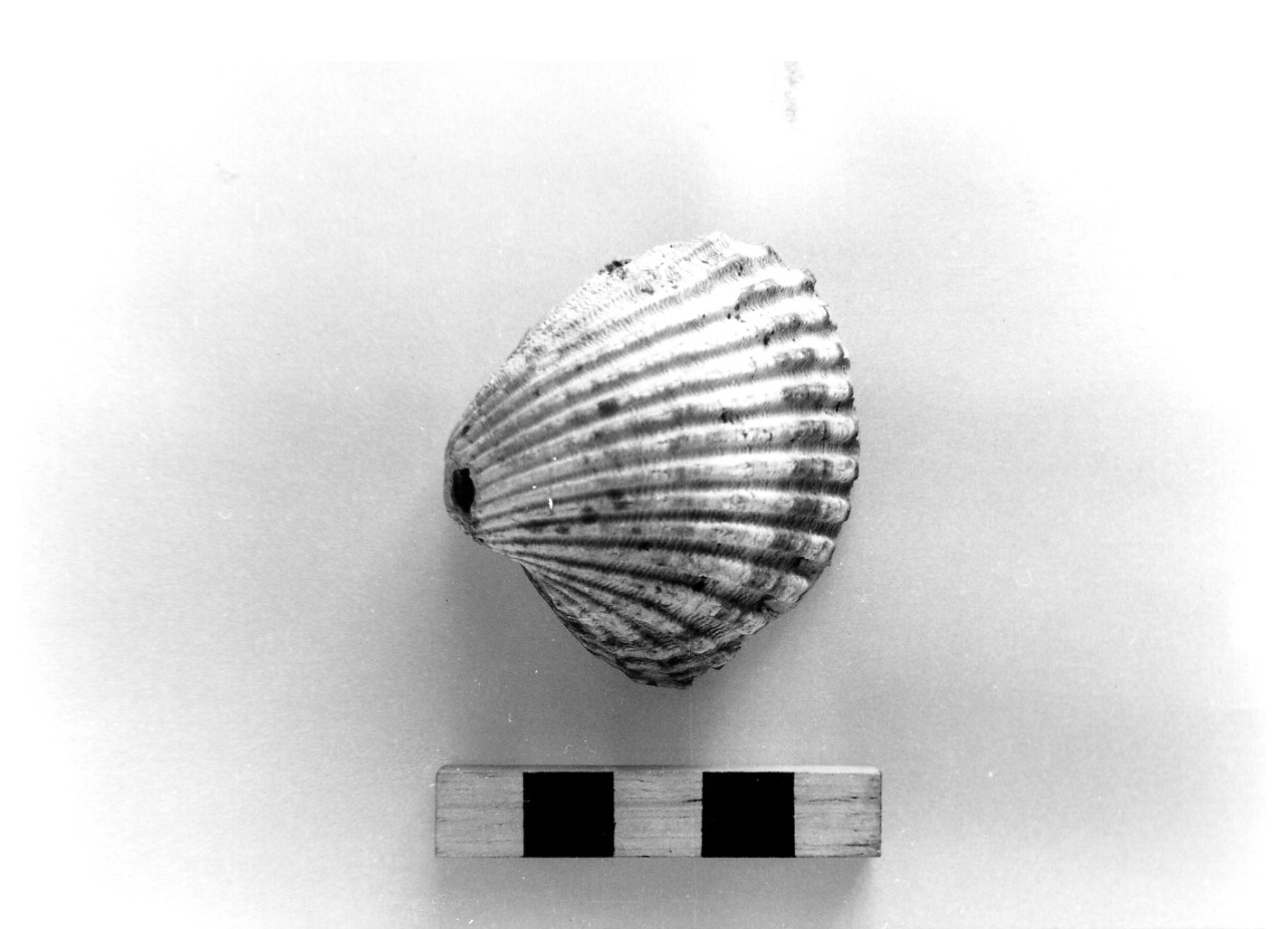 pendente - civiltà protovillanoviana/ età del bronzo finale (sec. X a.C)