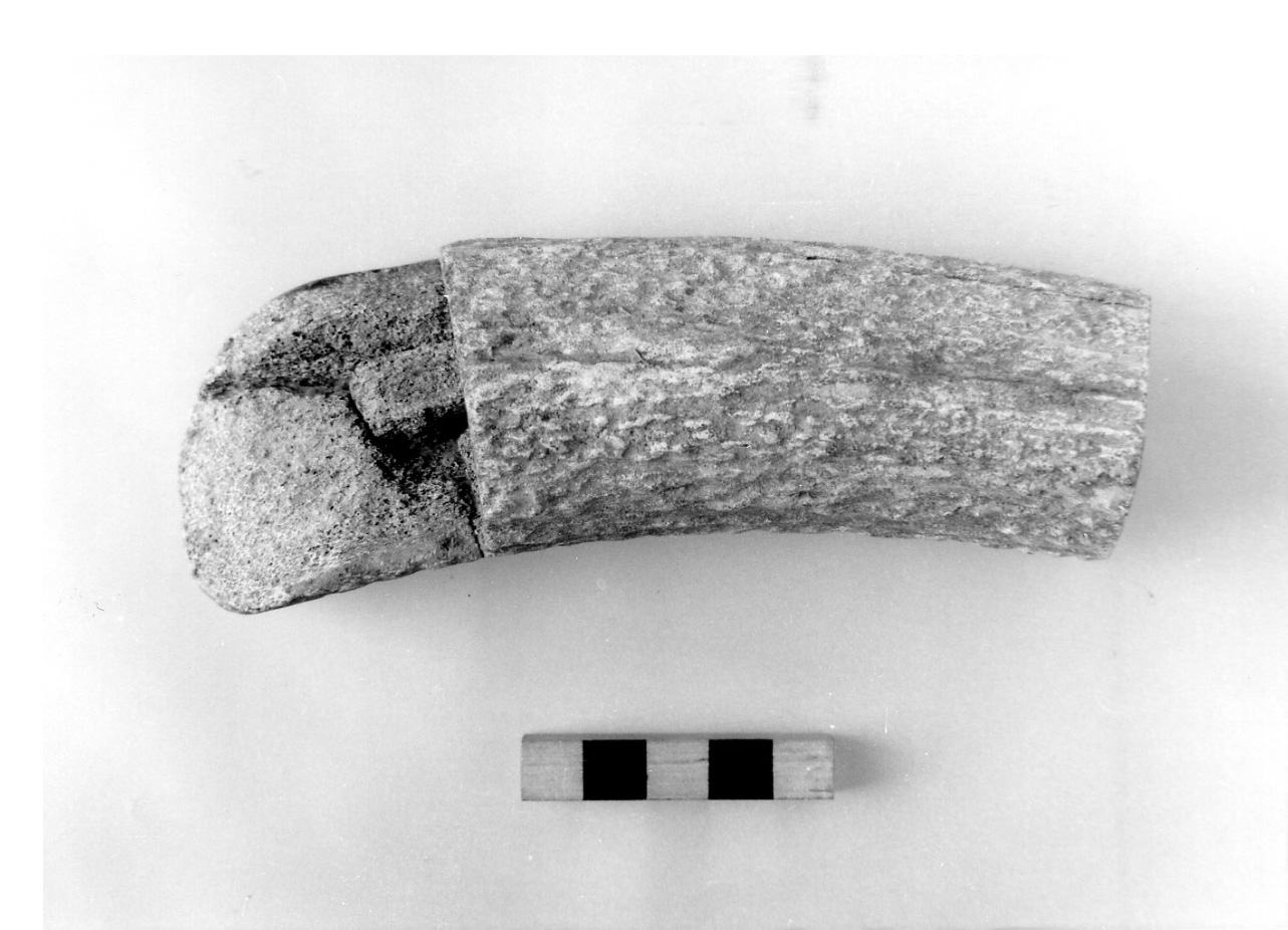 vanghetta - civiltà protovillanoviana/ età del bronzo finale (sec. X a.C)