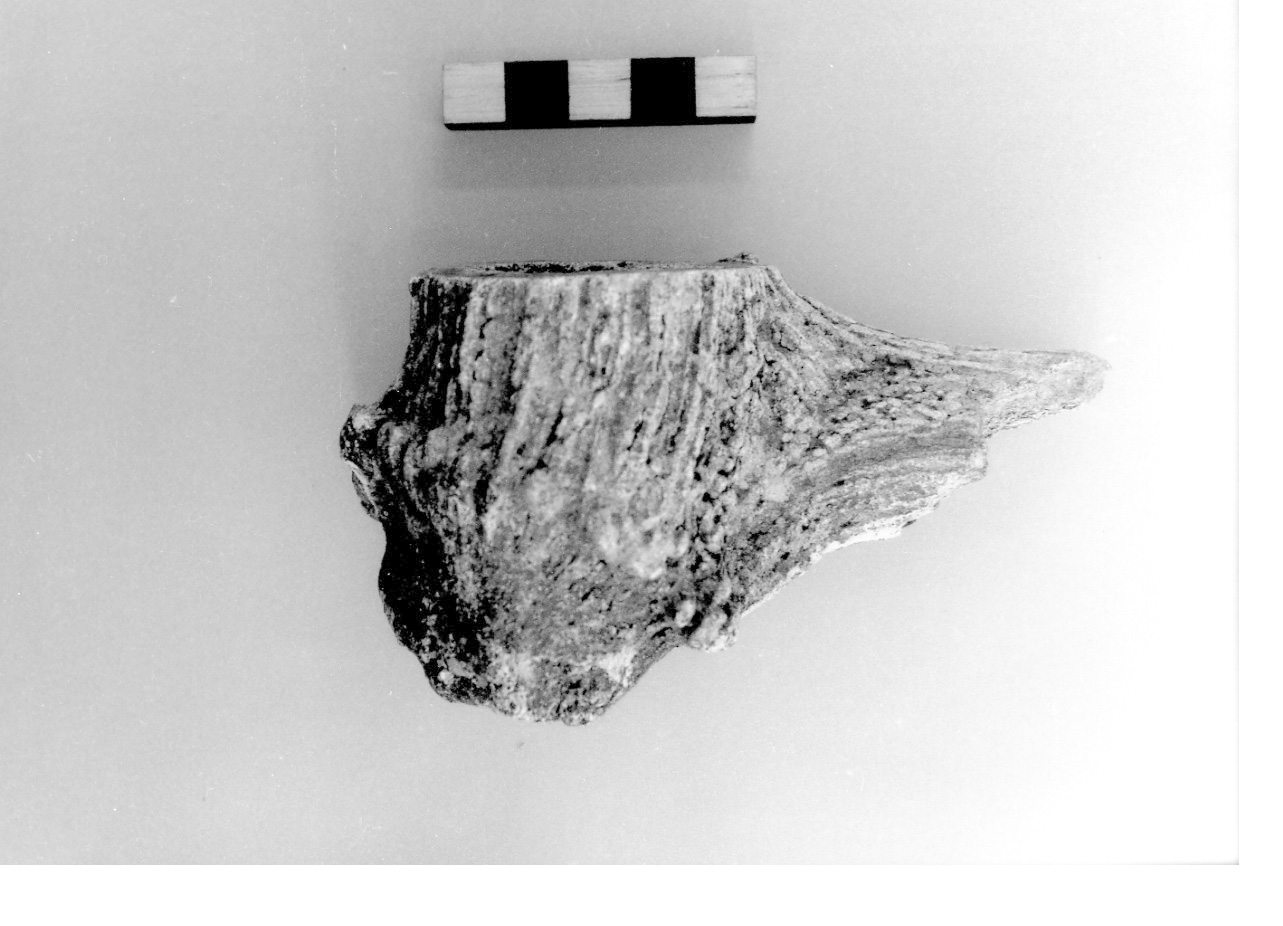 scarto di lavorazione - civiltà protovillanoviana/ età del bronzo finale (sec. X a.C)