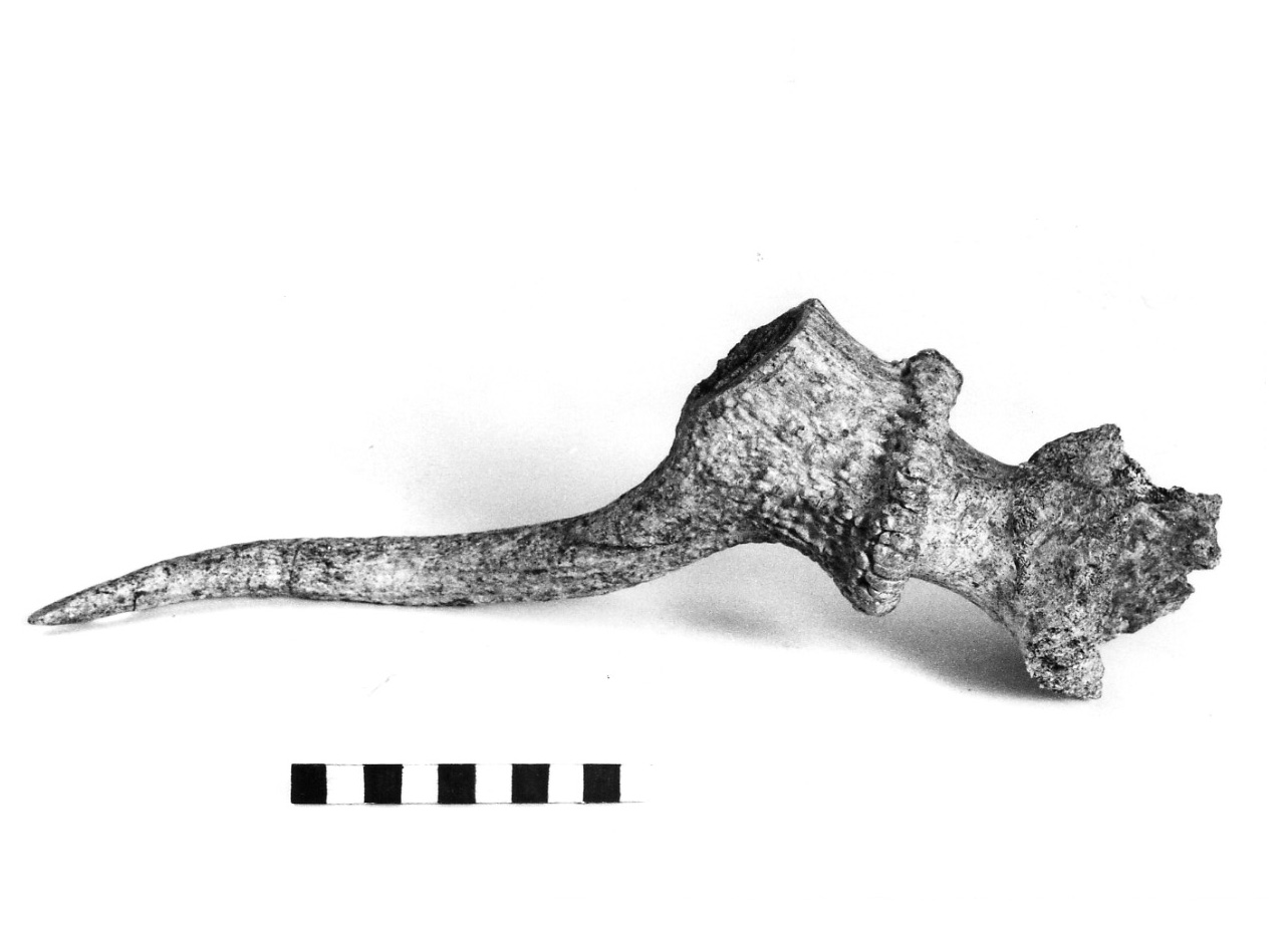 scarto di lavorazione - civiltà protovillanoviana/ età del bronzo finale (sec. X a.C)